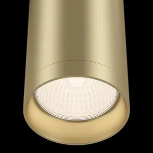 Потолочный светильник Technical C010CL-01MG