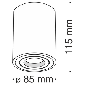 Потолочный светильник Technical C016CL-01W