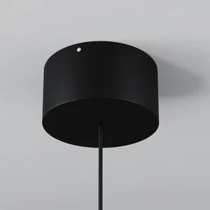 Уличный подвесной светильник Outdoor O491PL-L8B3K
