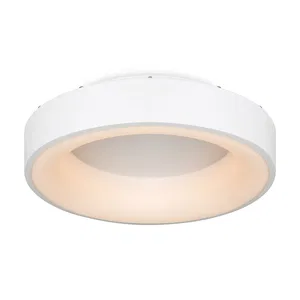 Потолочный светильник Freya FR6118CL-L45W
