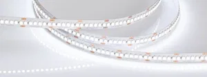 Лента RT6-3528-240 24V White6000 4x (1200 LED) (Arlight, 19.2 Вт/м, IP20)