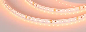 Лента RT-A120-8mm 24V Orange (9.6 W/m, IP20, 2835, 5m) (Arlight, -)
