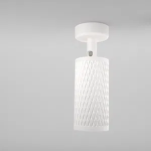 Потолочный светильник Technical C034CL-01W