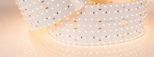 Лента S2-2500 24V Warm 2700K 85mm (2835, 560 LED/m, LUX) (Arlight, 40 Вт/м, IP20)