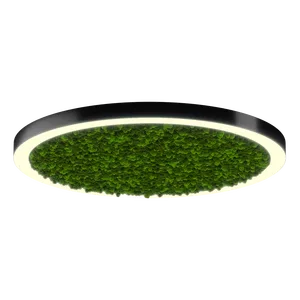 Модульный светильник HOKASU Halo Moss (кольцо со мхом)