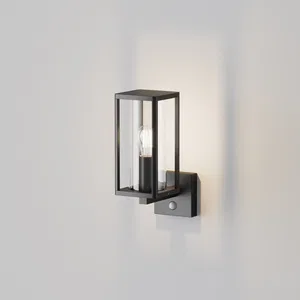 Уличный настенный светильник Outdoor O452WL-01GFSR