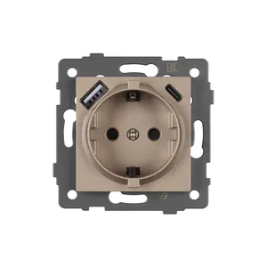 Механизм розетки с USB зарядкой SCT-MUAA-PL-GD-V (250V, 16A) (Arlight, -)