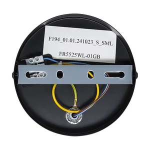 Настенный светильник (бра) Freya FR5525WL-01GB