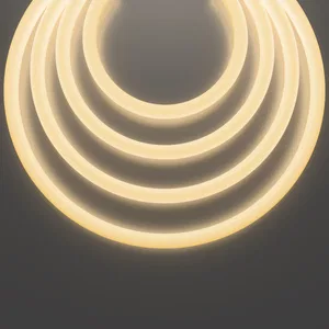 Гибкий неон Led Strip 20306