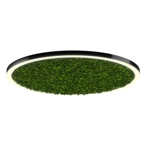 Модульный светильник HOKASU Halo Moss (кольцо со мхом)
