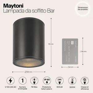 Уличный потолочный светильник Outdoor O306CL-L7GF