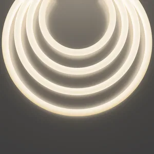 Гибкий неон Led Strip 20302