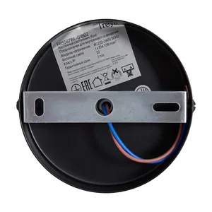 Настенный светильник (бра) Freya FR5587WL-01BBZ