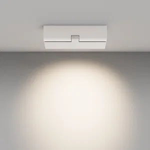Потолочный светильник Technical C136CL-12W4K-B