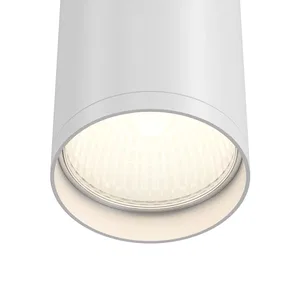 Потолочный светильник Technical C052CL