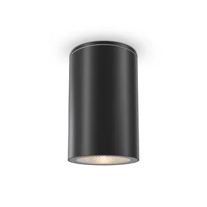 Уличный потолочный светильник Outdoor O307CL-01B