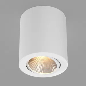 Светильник SP-FOCUS-R120-16W Warm White (Arlight, IP20 Металл, 3 года)