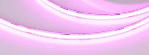 Лента COB-X480-8mm 24V Magenta (8 W/m, IP20, 5m) (Arlight, -)