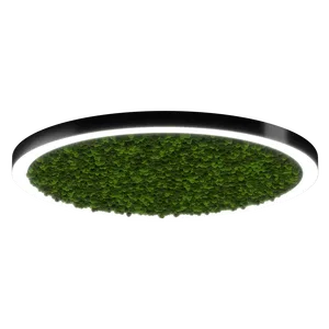 Модульный светильник HOKASU Halo Moss (кольцо со мхом)