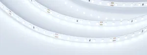 Лента RT 2-5000 24V Cool 8K 1.6x (2835, 490 LED, PRO) (Arlight, 10 Вт/м, IP20)