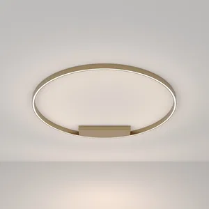 Потолочный светильник Maytoni MOD058CL-L65BSK