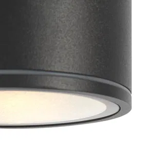 Уличный потолочный светильник Outdoor O306CL-L7GF