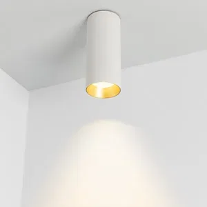 Светильник SP-POLO-SURFACE-R65-8W Day4000 (WH-GD, 40 deg) (Arlight, IP20 Металл, 5 лет)