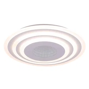 Потолочный светильник Freya FR6014CL-L98W