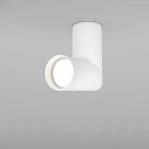 Потолочный светильник Technical C027CL-L10B