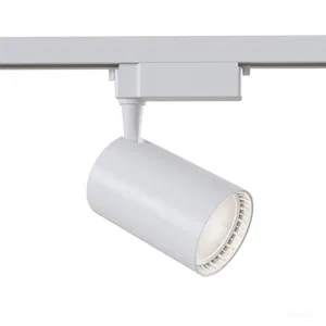 Трековый светильник Technical TR003-1-6W4K-S-W