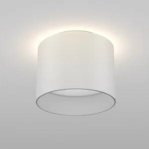 Потолочный светильник Technical C009CW-L12W