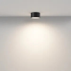 Потолочный светильник Technical C032CL-12W3K-RD-B