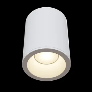 Потолочный светильник Technical C029CL-01W