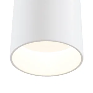 Потолочный светильник Technical C027CL-L10W