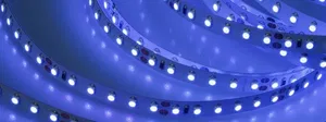 Лента RT-A120-8mm 24V Blue (9.6 W/m, IP20, 5m) (Arlight, 9.6 Вт/м, IP20)