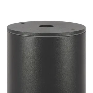 Уличный потолочный светильник Outdoor O306CL-L12GF