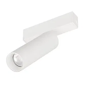 Светильник MAG-SPOT-25-R120-12W Day4000 (WH, 30 deg, 24V) (Arlight, IP20 Металл, 5 лет)