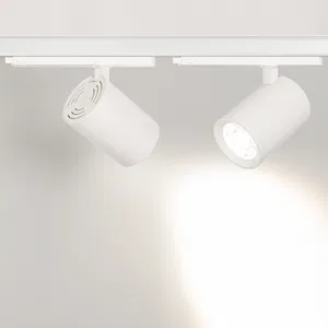 Светильник LGD-NIKA-4TR-R100-30W Day4000 (WH, 24 deg, 230V) (Arlight, IP20 Металл, 5 лет)