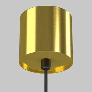 Подвесной светильник Maytoni P100PL-20W4K-BS