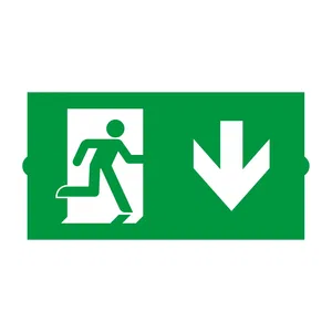 Пиктограмма EMGP-DIRECT-DOWN (Вниз) (Arlight, Пластик)