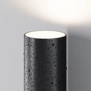 Уличный настенный светильник Outdoor O508WL-L5B3K
