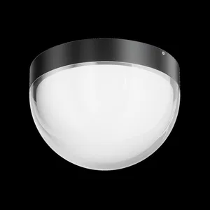 Уличный потолочный светильник Outdoor O438CL-L12GF3K