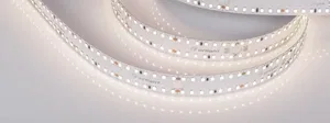 Лента S2-2500 24V Day 4000K 20mm (2835, 280 LED/m, LUX) (Arlight, 20 Вт/м, IP20)