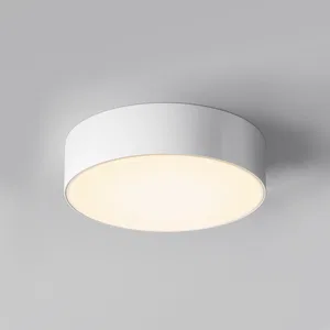 Уличный потолочный светильник Outdoor O431CL-L30W3K