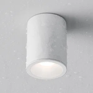 Потолочный светильник Technical C029CL