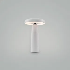 Аккумуляторный светильник Freya FR6109TL-L4W