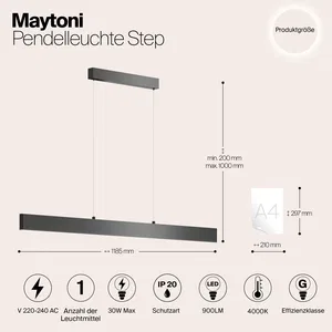 Подвесной светильник Maytoni P010PL-L30B4K