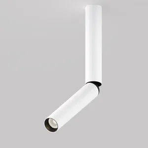 Потолочный светильник Technical C142CL-6W3K-W