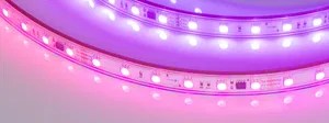 Лента герметичная SPI-PS-B60-12mm 24V RGB-PX6-BPT (12 W/m, IP67, 5060, 5m) (Arlight, бегущий огонь)