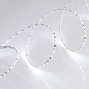 Лента MICROLED-5000 24V White-CDW 4.5mm (2216, 240 LED/m, Bipolar) (Arlight, 9.6 Вт/м, IP20)